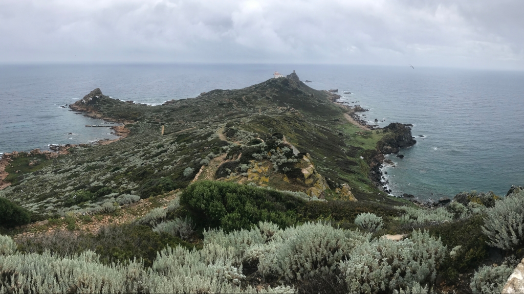 HELP Sarl en mission sur l’archipel des Sanguinaires (Corse du sud)